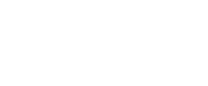 image of JSIG white logo